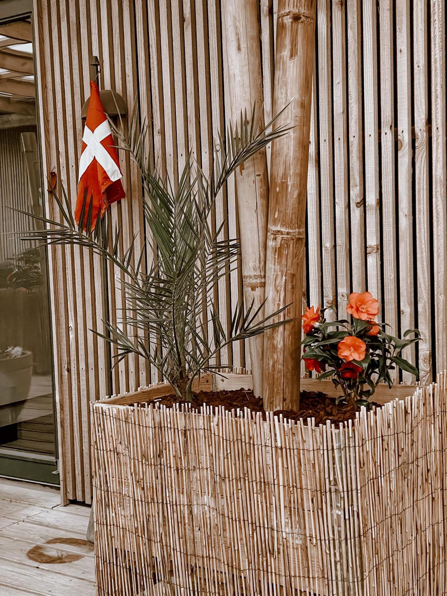 Guesthouse Klitmøller Eksteriør bilde